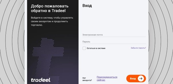 Страница входа в платформу Tradeel